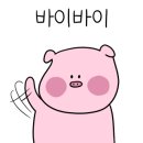 코코호도성수점