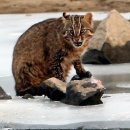 김신환동물병원 이미지