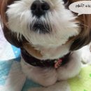 달래GO