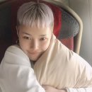 치타 이미지