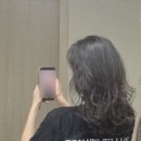 살롱젯