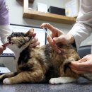 서울종합동물병원 이미지