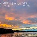팔봉갯벌체험야영장 | 태안갯벌체험 팔봉갯벌체험야영장 태안조개잡이펜션 맛조개잡는곳 포인트