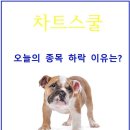 (주)지에스이앤알 이미지