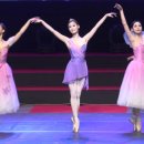 발레 천학의 비상 이미지