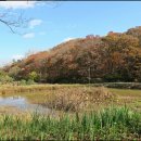 곤지암도자공원 이미지