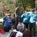 방장목장 이미지