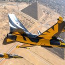 다섯손가락 이미지