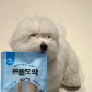 주식회사 펫푸드 | 강아지간식 추천 국내산 장어로 만든 프리미엄 수제간식, 반려견 장어스틱 3개 세트 후기