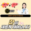 아이누리약국 | 간 해독? 딱! 7일이면 됩니다 전홍준 의학박사의 &#39;기적의 간 청소&#39;