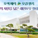자연힐링센터 네이버블로그