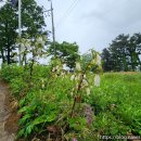 섬가람 펜션 이미지