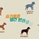 구로-현장-구로-530 이미지