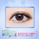 블루밍드림 네이버블로그