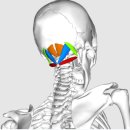 로움필라테스 이미지