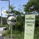 깊이울마을캠핑장 | 반려견과 떠난 첫 솔캠 :: 포천 딥포레스트 캠핑장 부터 깊이울 저수지 데크길까지 찐 힐링 캠핑