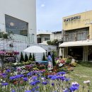 2월호텔대구앞산점 | 대구 앞산 파스타 맛집 앞산주택 메뉴 본관 주차장 꽃정원