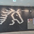 충남대학교 | [내돈내산]대전 실내수영장 유성구 주변 추천! 충남대학교 대전캠퍼스 CNU스포렉스 이용후기