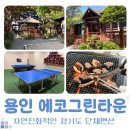 꿀당구 | 용인 단체 펜션 추천 에코그린타운 | 부대시설 완벽한 숲속 힐링 숙소 솔실 1박 2일 숙박 후기