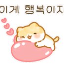 갈마중앙의원 네이버블로그