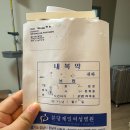 상주제일병원 | 분당제일여성병원 제왕절개 후기 4일차 feat. 일일조리원