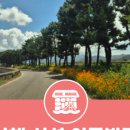 이동 원천마을 이미지