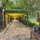 기차마을전통시장(명품관옆) 이미지