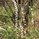 무심농장 이미지