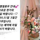 부천꽃집데이브앤스텔라플라워즈 이미지