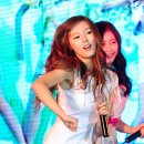 세리 티브이데일리