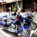 네발구이 이미지