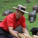 순박2농장 이미지