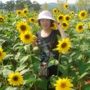 행운공원 이미지