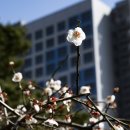 금호동주민자치센터 이미지