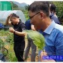 안명초등학교 이미지