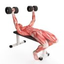 라인짐2호점 이미지