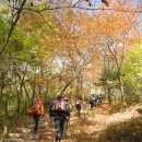 청량예술대학교 서울둘레길 제15코스 종주 이야기 이미지