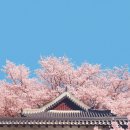 완산-165 이미지