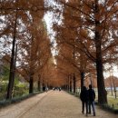 주선이용원 이미지