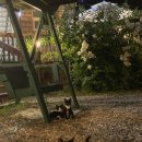 쉘부르황토펜션 이미지