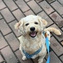 운정튼튼동물병원 이미지