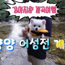어성전집