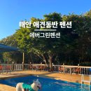 태안 애견동반 펜션, 수영장과 넓은 운동장 대형견도 가능 에버그린펜션