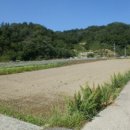 대곡면-2 이미지