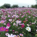 폭신폭신 이미지