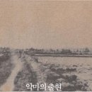 악마의 출현, 1차 이완이 할머니(71세) 사건 이미지