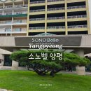 조이비디오 | 서울 근교 소노벨 양평 리조트 스위트 내돈내산 후기