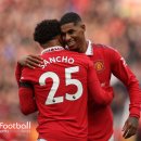 하이코치 이미지