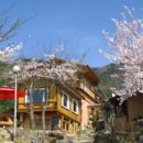 황토식당 이미지