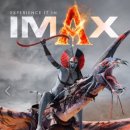 성남대로997번길 이미지